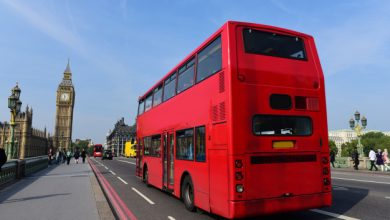 Fernando Siqueira Carvalho