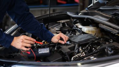Fernando Siqueira Carvalho
