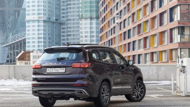 Marcio Alario Esteves