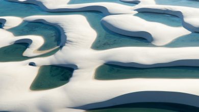 Marcio Alario Esteves