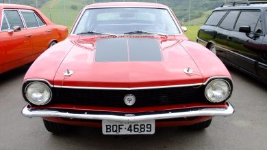 Fernando Siqueira Carvalho