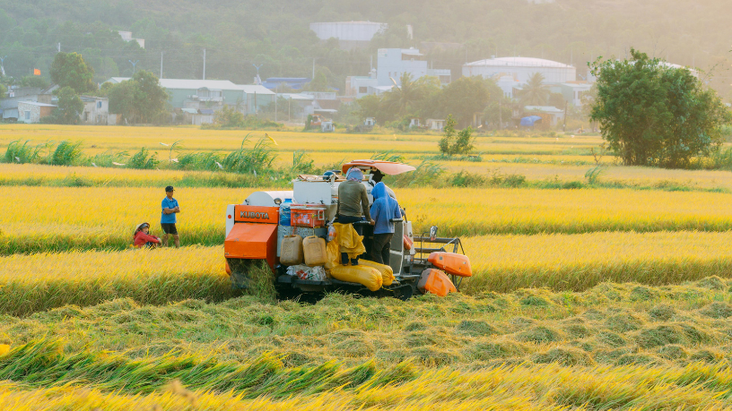 Para Aldo Vendramin, agronegócio 2026 exige inovação para equilibrar custos, ambiente e eficiência.