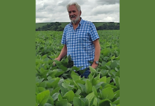 Agronegócio 2026 une sustentabilidade e competitividade para impulsionar produção, analisa Aldo Vendramin.