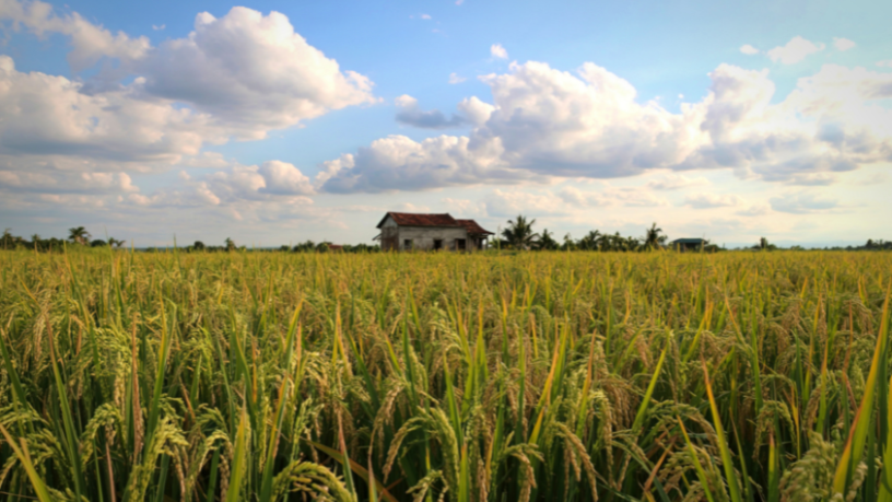 Ao explorar a Itália rural, Alberto Toshio Murakami destaca como pequenos vilarejos mantêm vivas tradições, gastronomia local e o sentido de comunidade.